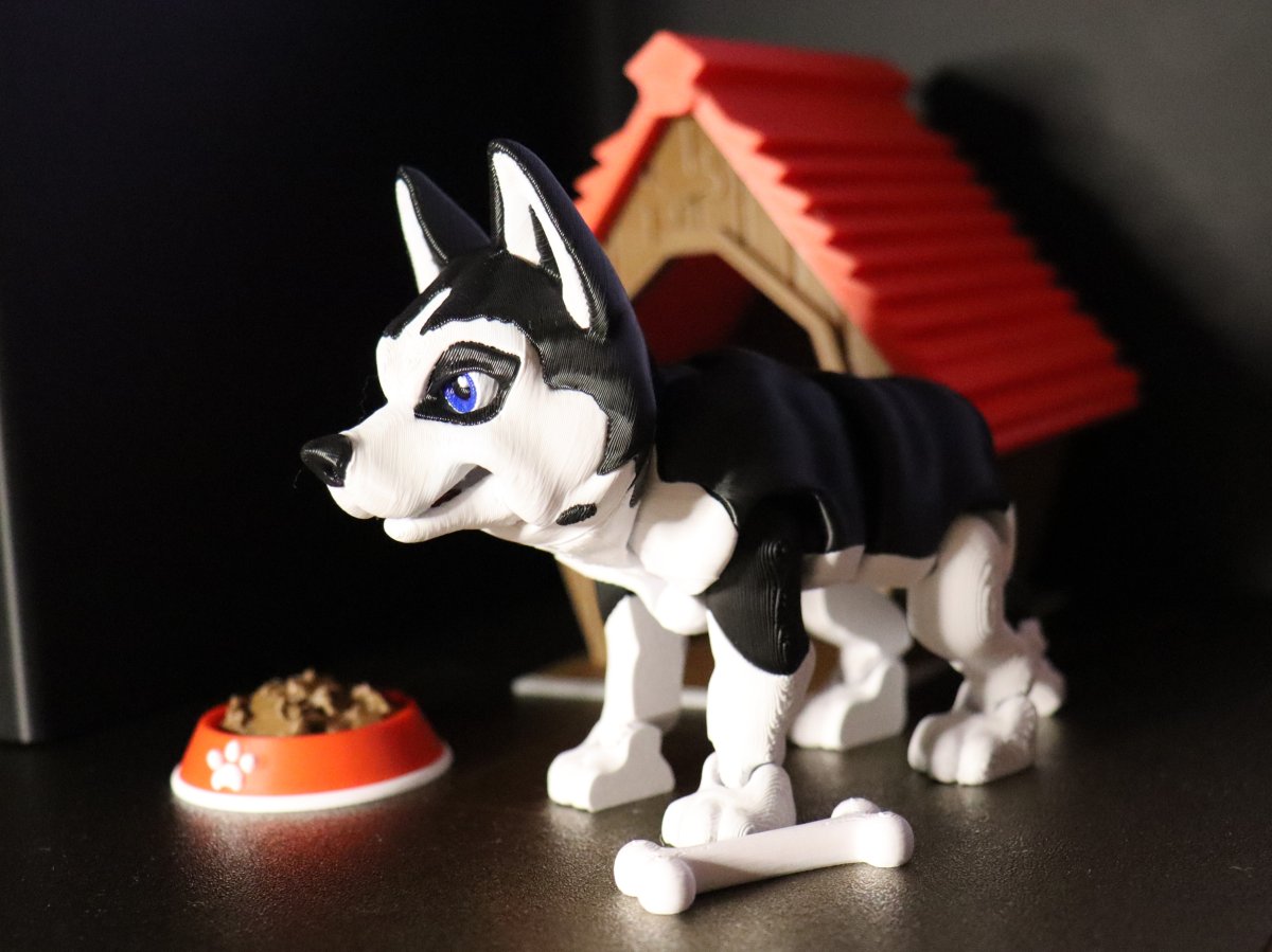 Buddy Set – Husky