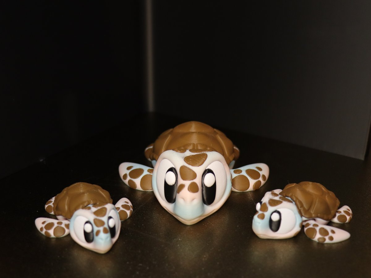 Buddy Set – Schildkroeten Familie